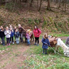 Kinder und Erwachsene auf einer grünen Wiese mit einem Esel