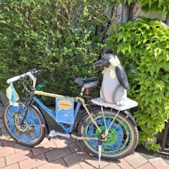Fahrrad Stadtradeln