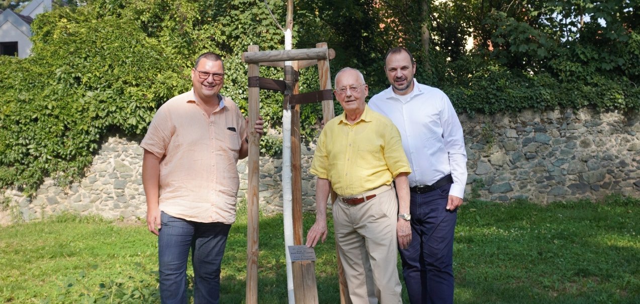 Drei Männer stehen an einem Baum