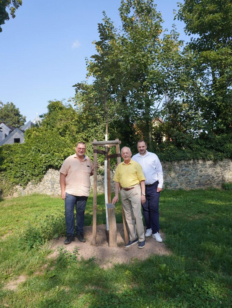 Baumwidmung zum 85. Geburtstag von Prof. Dr. Ralf-Rainer Lavies Drei Männer stehen an einem Baum