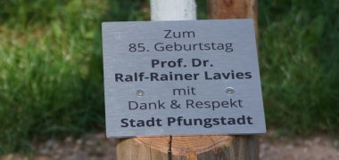 Baumwidmung zum 85. Geburtstag von Prof. Dr. Ralf-Rainer Lavies silberne Gedenktafel