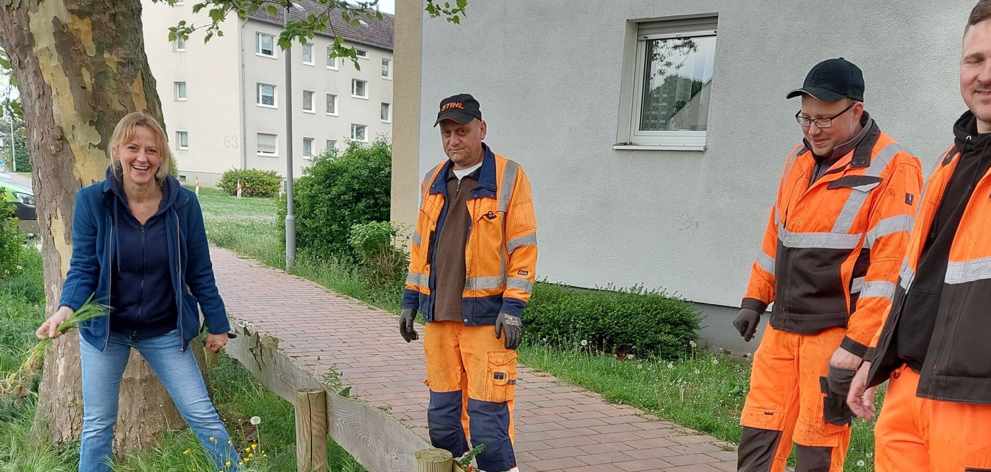 Begutachtung städtischer Grünflächen 