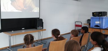 Kinder schauen einen Film auf einer großen Leinwand