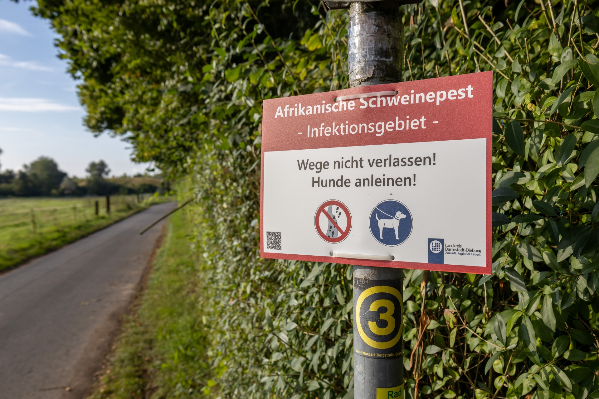 Fahrradweg mit einem warnenden Schild "Afrikanische Schweinegrippe"