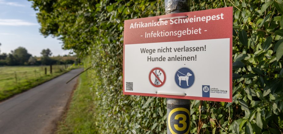 Fahrradweg mit einem warnenden Schild "Afrikanische Schweinegrippe"
