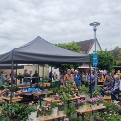 Eindrücke vom Eröffnungstag des ersten Pfungstädter Naschmarkts