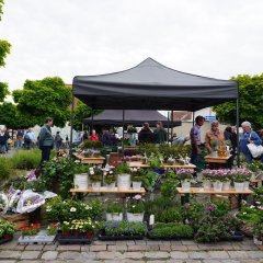 Eindrücke vom Eröffnungstag des ersten Pfungstädter Naschmarkts