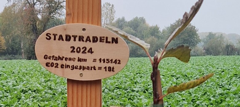 Schild an frisch eingepflanztem Baum