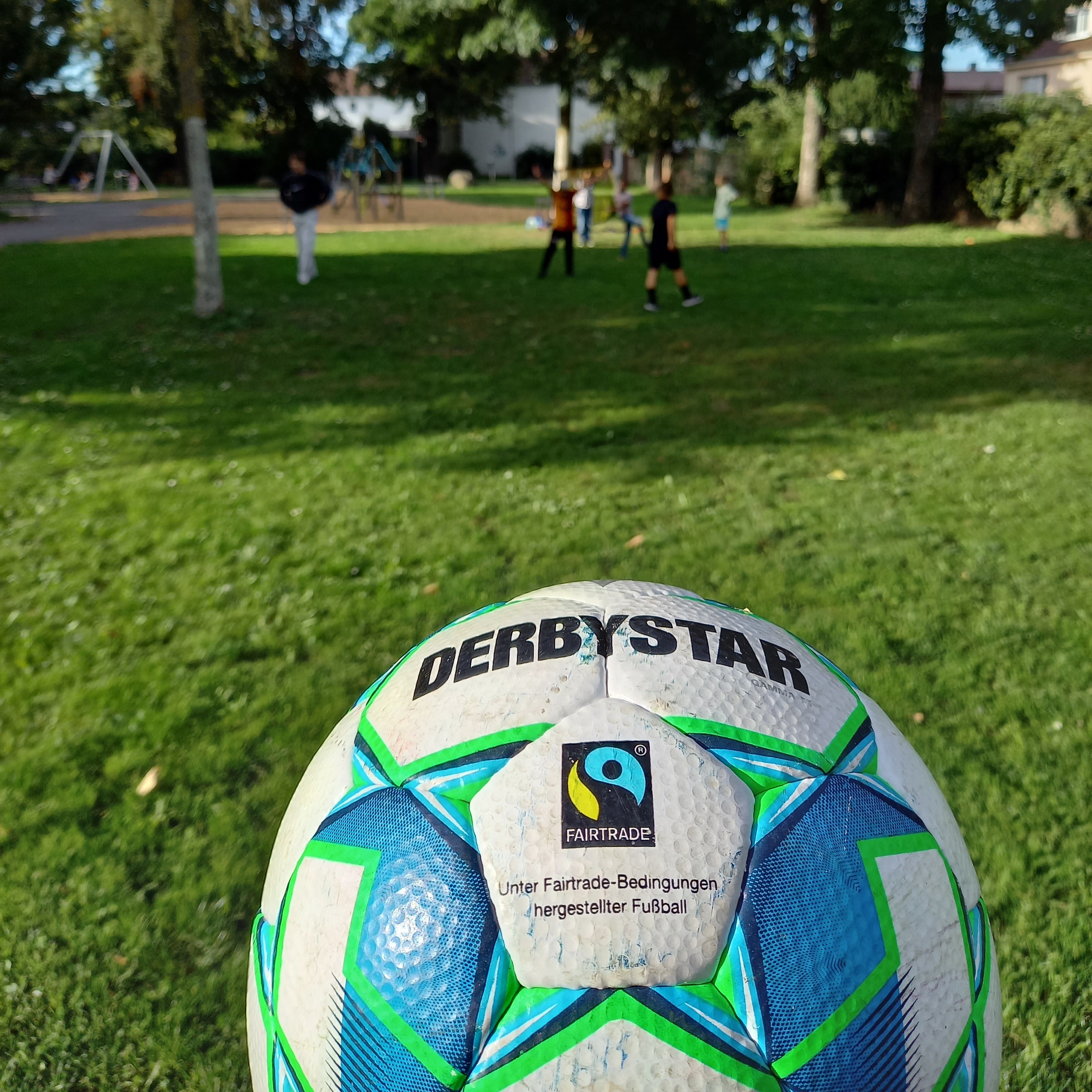 Fußball auf einer Wiese