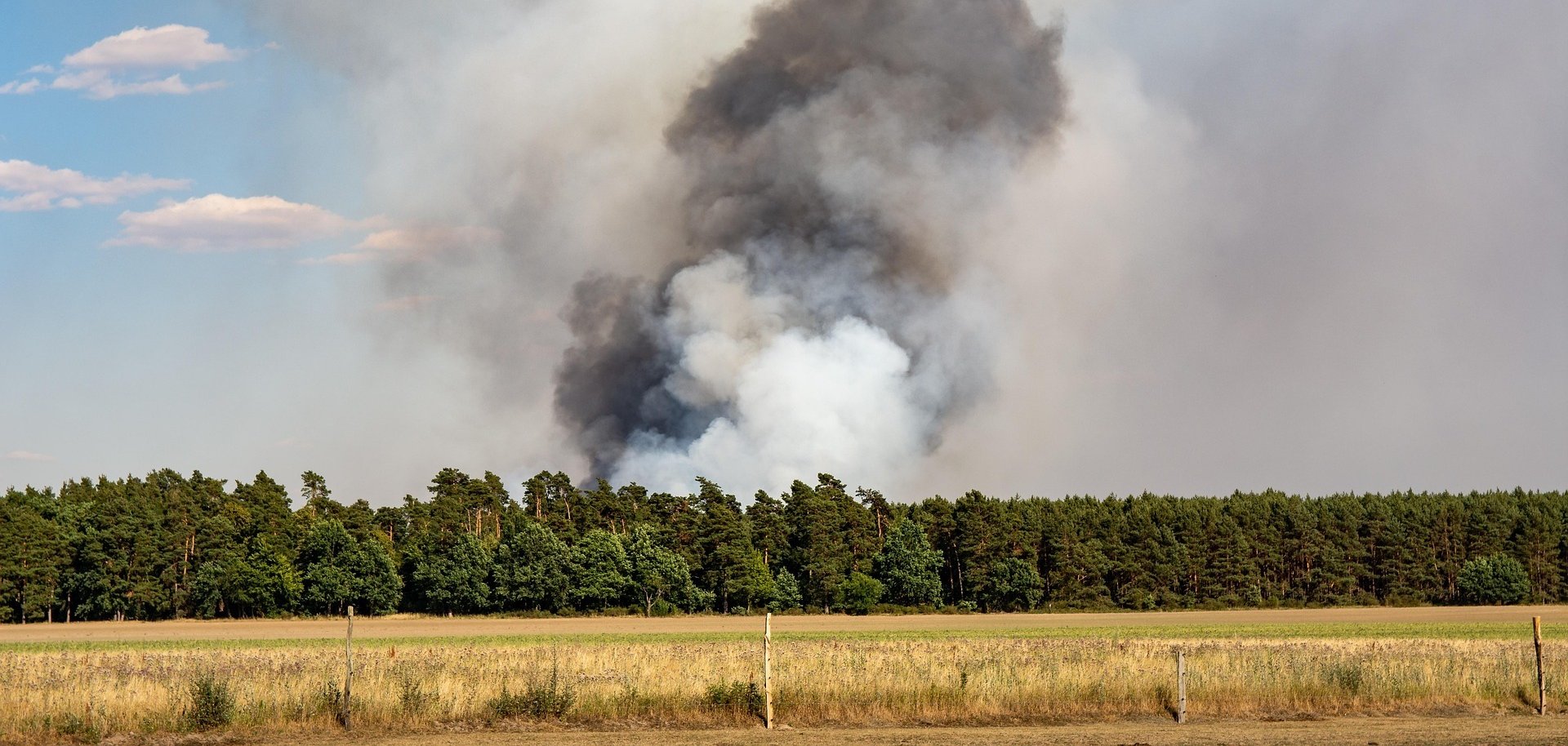 Forstministerium warnt vor erhöhter Brandgefahr und bittet um besondere Vorsicht Aufsteigende Rauchsäule aus einem weit entfernten Wald, im Vordergrund eine trockene Sommerwiese