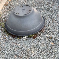 Friedhofs-Vandalismus 
