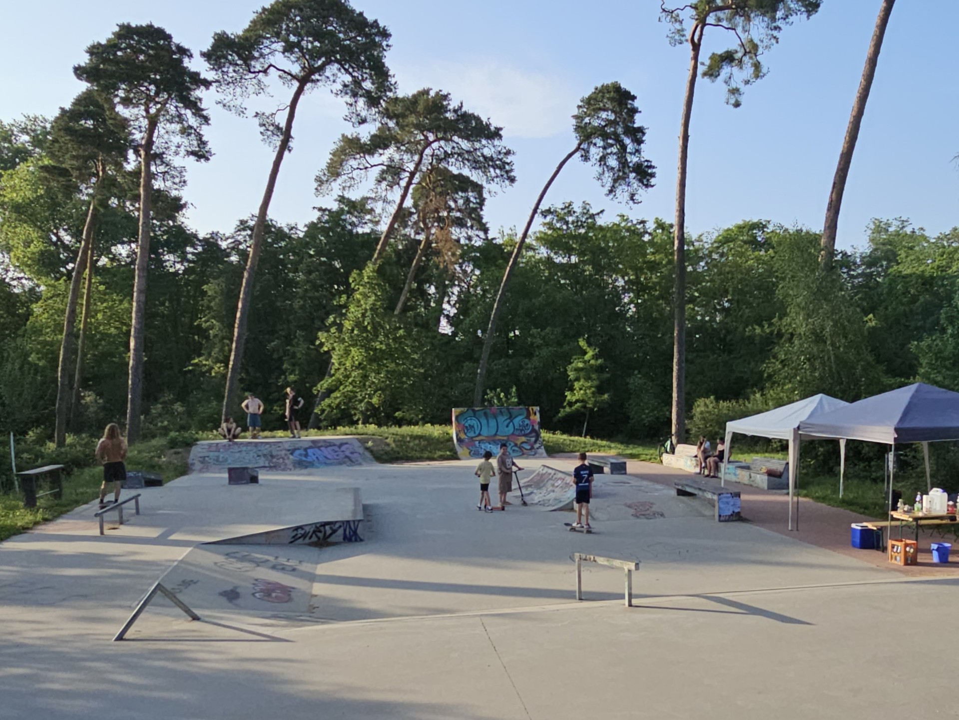 Kids im Skatepark