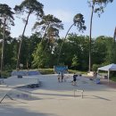 Kids im Skatepark