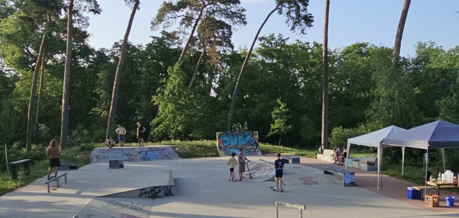 Kids im Skatepark