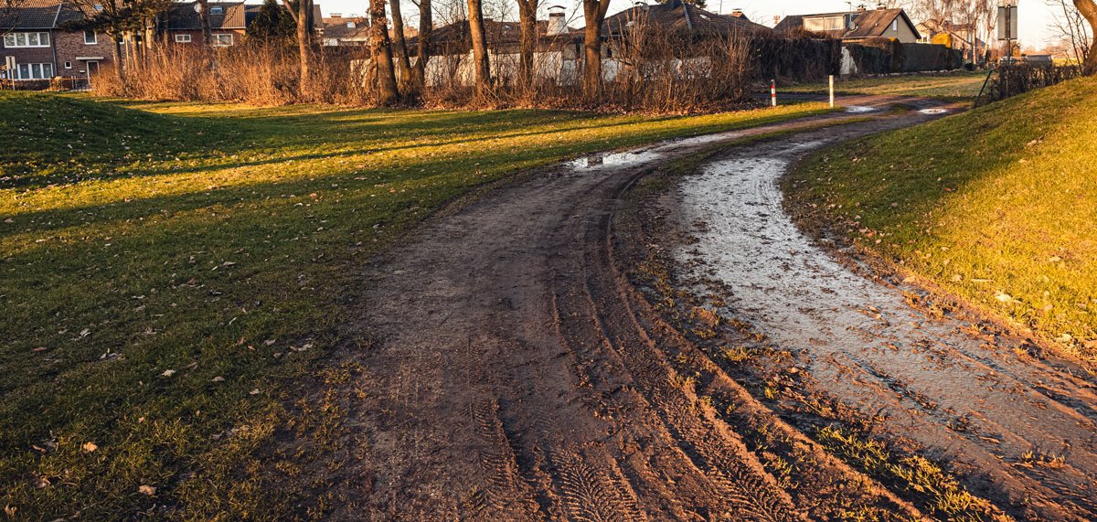 weitwinkelaufnahme-eines-parks-der-tagsueber-von-baeumen-umgeben-ist