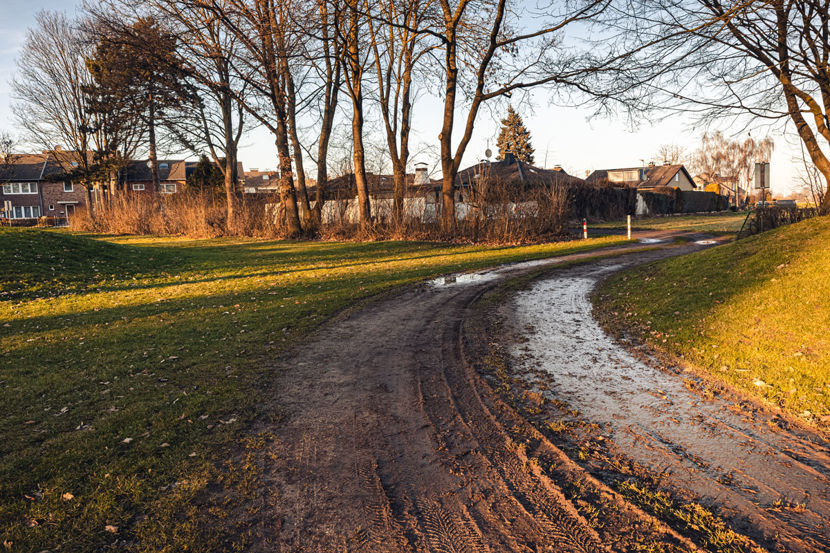 weitwinkelaufnahme-eines-parks-der-tagsueber-von-baeumen-umgeben-ist