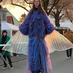 Impressionen vom Pfungstädter Weihnachtsmarkt