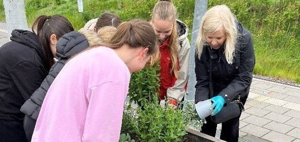 Blumenkübel bepflanzen