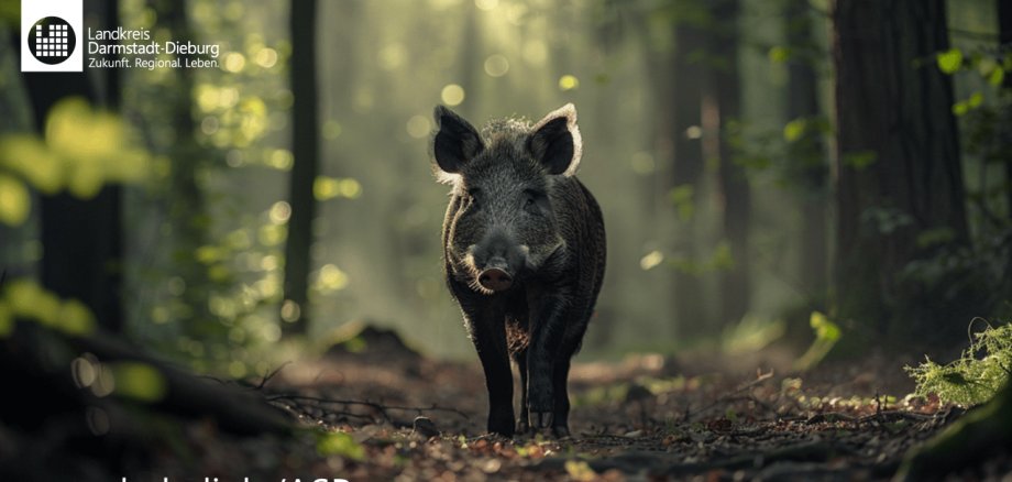 Wildschwein im Wald