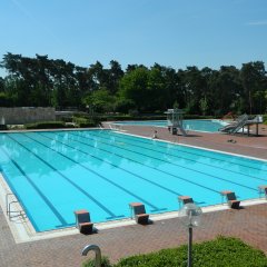 Großes leeres Schwimmbecken mit Bahnen und Sprungblöcken