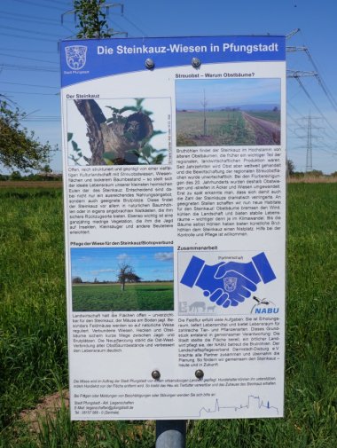 Bild einer Informationstafel in der Natur