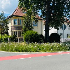 Blumenbeete in Pfungstadt