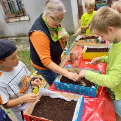 Kinder pflanzen Samen ein