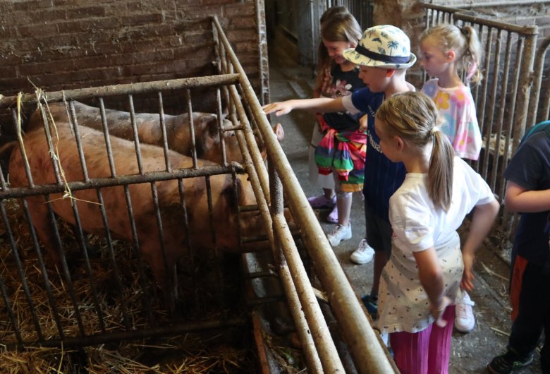 Sommerferienaktionen unter dem Motto „Hinter die Kulissen schauen“ in Pfungstadt und Umgebung Kinder besuchen Landwirt Jochen Ruppenthal