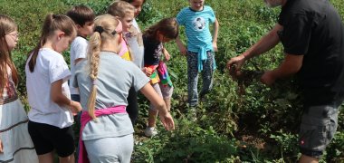 Sommerferienaktionen unter dem Motto „Hinter die Kulissen schauen“ in Pfungstadt und Umgebung Kinder besuchen Landwirt Jochen Ruppenthal
