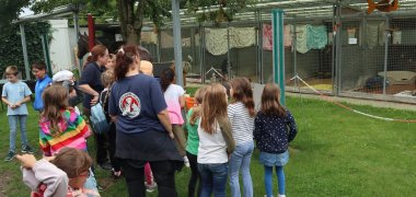 Sommerferienaktionen unter dem Motto „Hinter die Kulissen schauen“ in Pfungstadt und Umgebung Kinder besuchen das Tierheim Pfungstadt