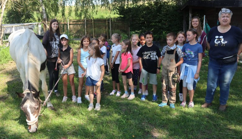 Sommerferienaktionen unter dem Motto „Hinter die Kulissen schauen“ in Pfungstadt und Umgebung Kinder besuchen den Reit- und Fahrverein Eschollbrücken Eich e. V.