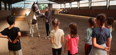Sommerferienaktionen unter dem Motto „Hinter die Kulissen schauen“ in Pfungstadt und Umgebung Kinder besuchen den Reit- und Fahrverein Eschollbrücken Eich e. V.