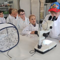 Kinder im Labor schauen durch ein Mikroskop