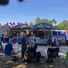 Infostand "Pfungstadt ist bunt" beim Phungo-Festival
