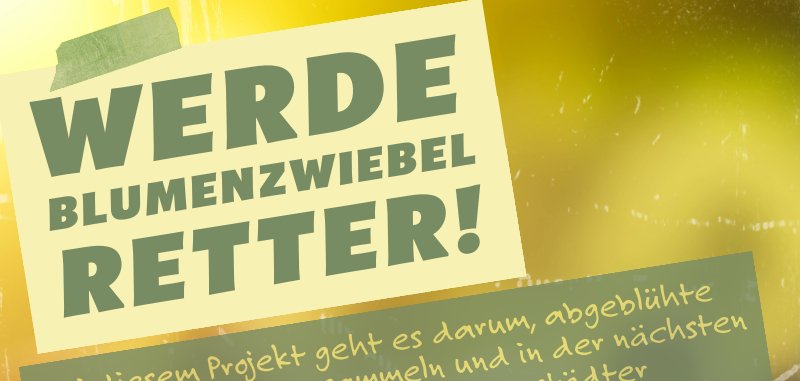 Werde Blumenzwiebelretter