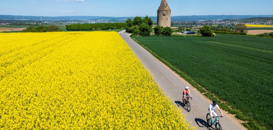 Wartturm, Fahrrad, Fahrradweg, Feld