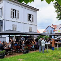 Zahlreiche Besucherinnen und Besucher genießen stimmungsvollen Abend mit Wein, Kulinarik und Musik im Park der Villa Büchner Menschen sitzen in einem Park unter Sonnenschirmen und genießen Wein