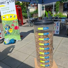 Großer Behälter mit gesammelten Zigarettenkippen, dahinter ein Rollup der Umweltpaten Pfungstadt
