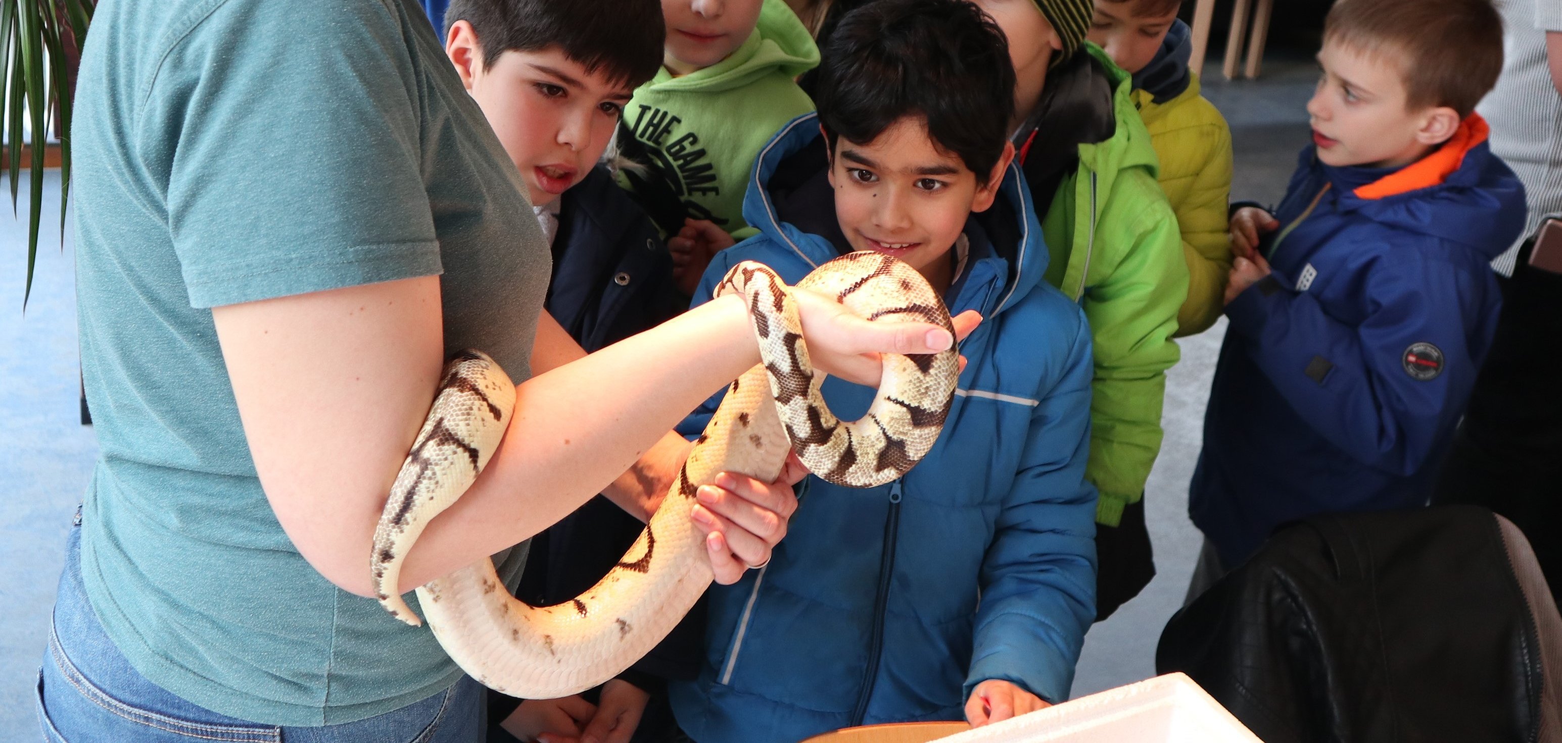 Eine Frau hält eine Schlange in den  Händen