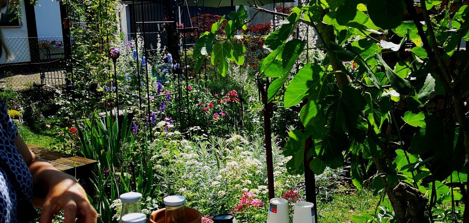 Garten