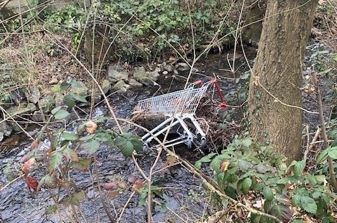 Einkaufswagen in der Modau